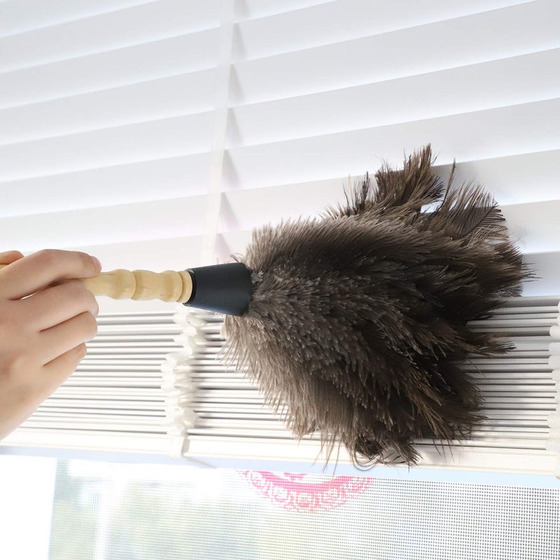 Midoneat Natural Gray Ostrich Feather Duster,2 Packs,Car Duster Interior/Exterior Cleaner, Cleaning for Blinds Kitchen Keyboard Office, Smart and Soft and Fluffy (Gray) - Image 4